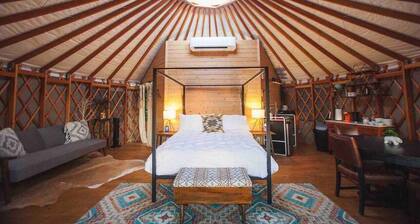 Skylight Serenity, at Wanderin’ Star Farms