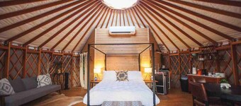 Skylight Serenity, at Wanderin’ Star Farms