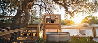 The Nest, at Wanderin’ Star Farms