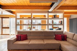 TV connectée, cheminée, lecteur de DVD, livres