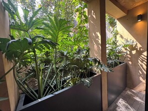 A garden area with various plants and a planter box. - w* | Alluring 2BR with Balcony in Condesa (Ciudad de México)