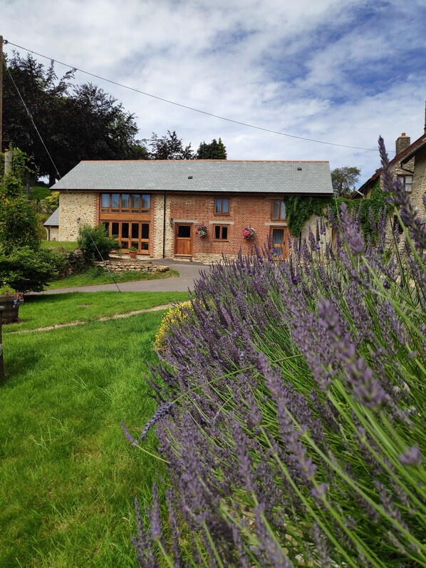 Exterior - Hawley Farm Self Catering Holiday Accommodation (Axminster)