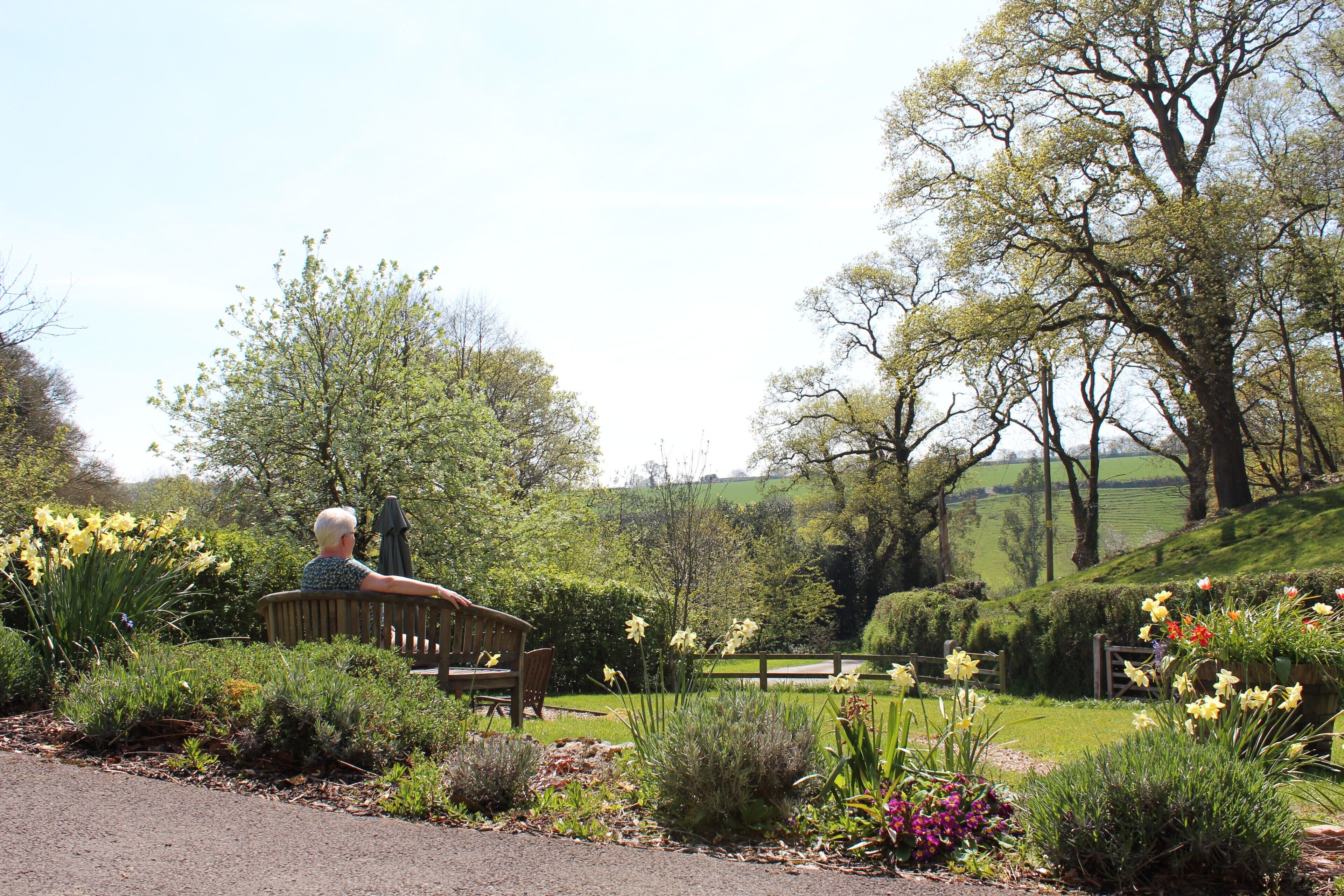 A bench in a garden with various plants and flowers.