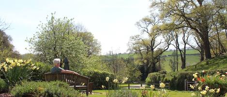 A bench in a garden with various plants and flowers.