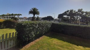 Ein sonniger Tag mit blauem Himmel, einer Palme und einer Hecke im Vordergrund.
