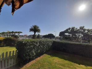 A sunny day with a clear sky, a palm tree, and a hedge in the foreground.