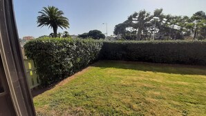 Eine begrünte Außenfläche mit Hecke und einer Palme.