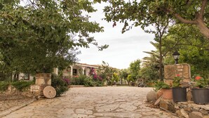 Un patio empedrado con una fuente, rodeado de abundante vegetación y plantas en macetas.