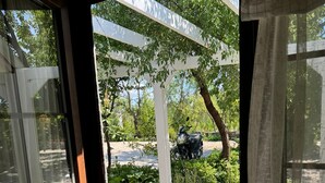 Vista a través de un ventanal hacia un jardín con un sendero de piedra, una pérgola blanca y una moto estacionada.