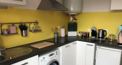 T1 bis proche centre-ville, campagne et commodités