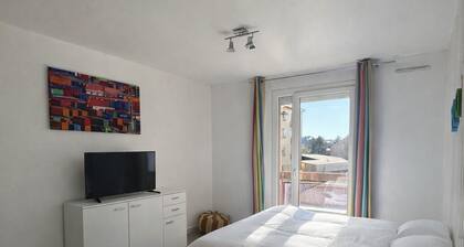 T1 bis proche centre-ville, campagne et commodités