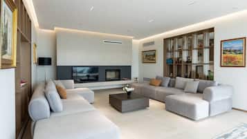 Smart TV y chimenea