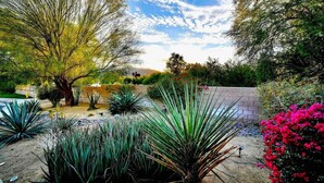 Un jardín con diversas plantas y un muro de ladrillo.