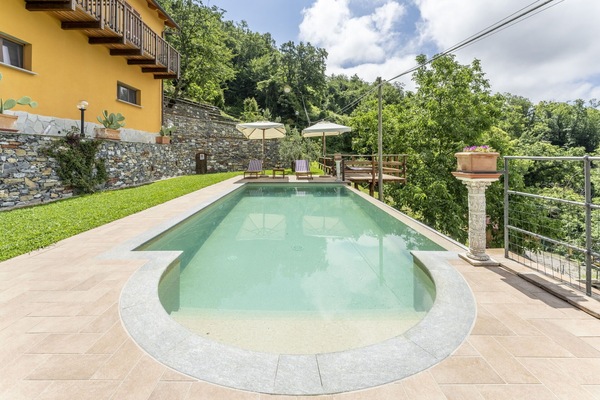 Autumn, Pool, Spring, Summer