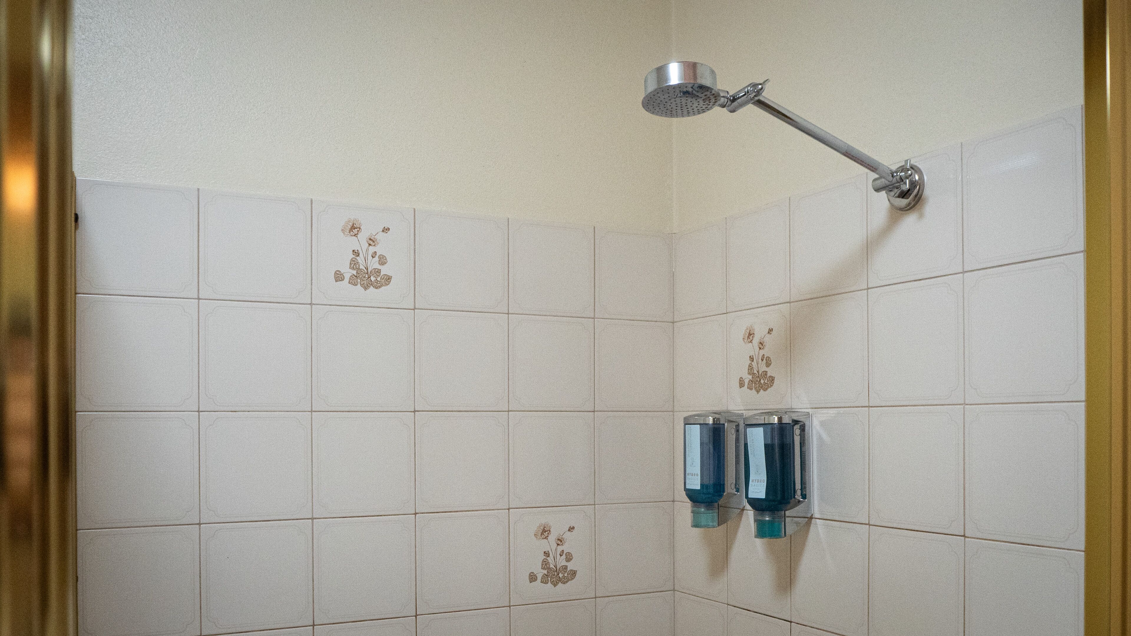 Een douche, een haardroger, handdoeken, zeep