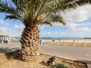 A palm tree by a beach with a clear sky. - Flat 6, Thornlow Heights (Weymouth)