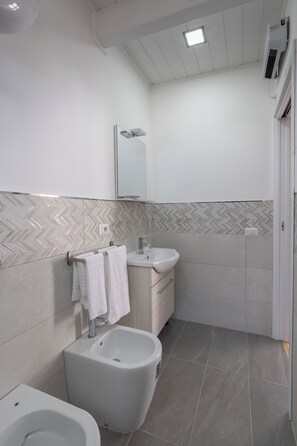 Shower, hair dryer, bidet, towels