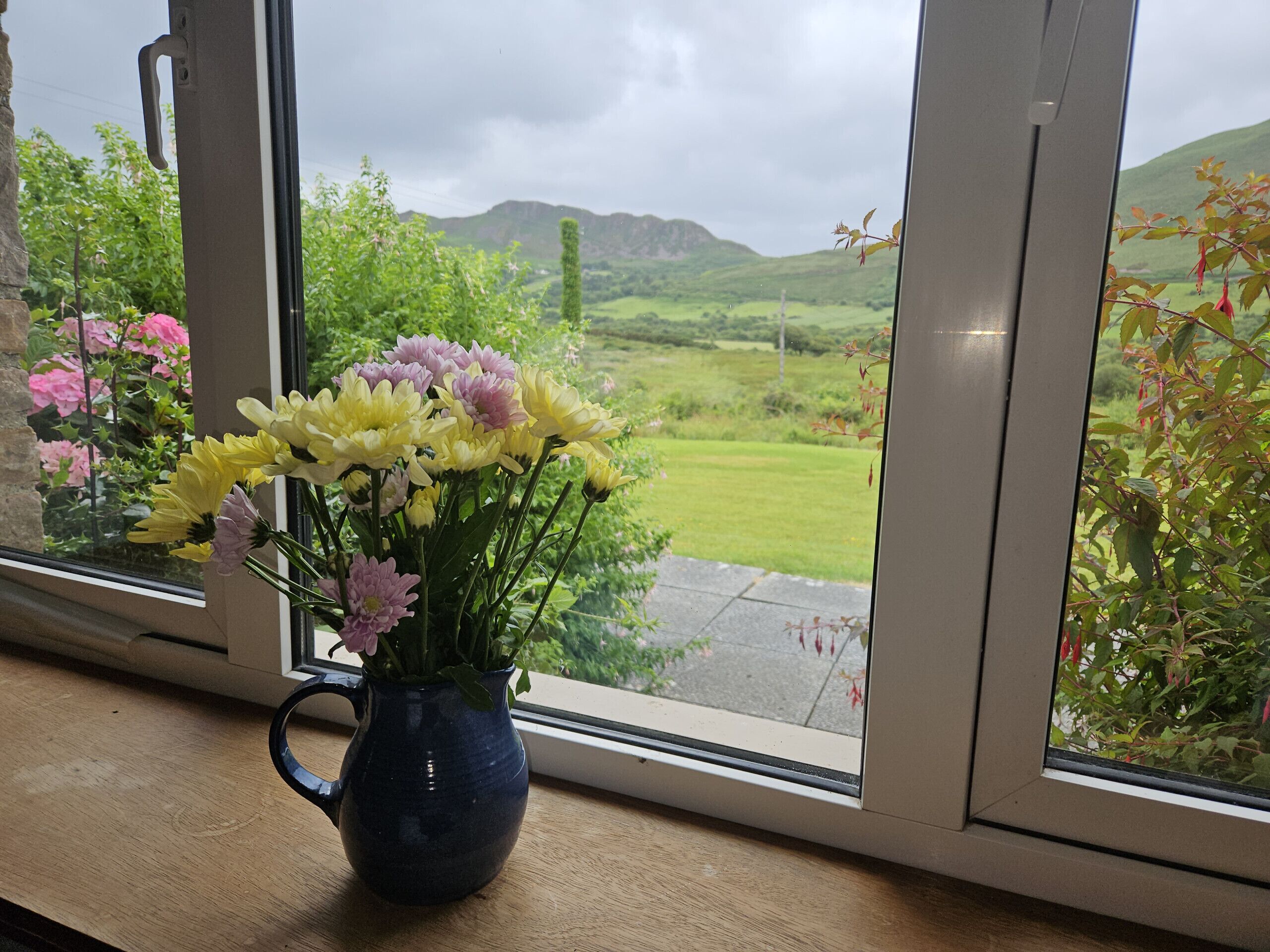 A window with a view of a green landscape and mountains.