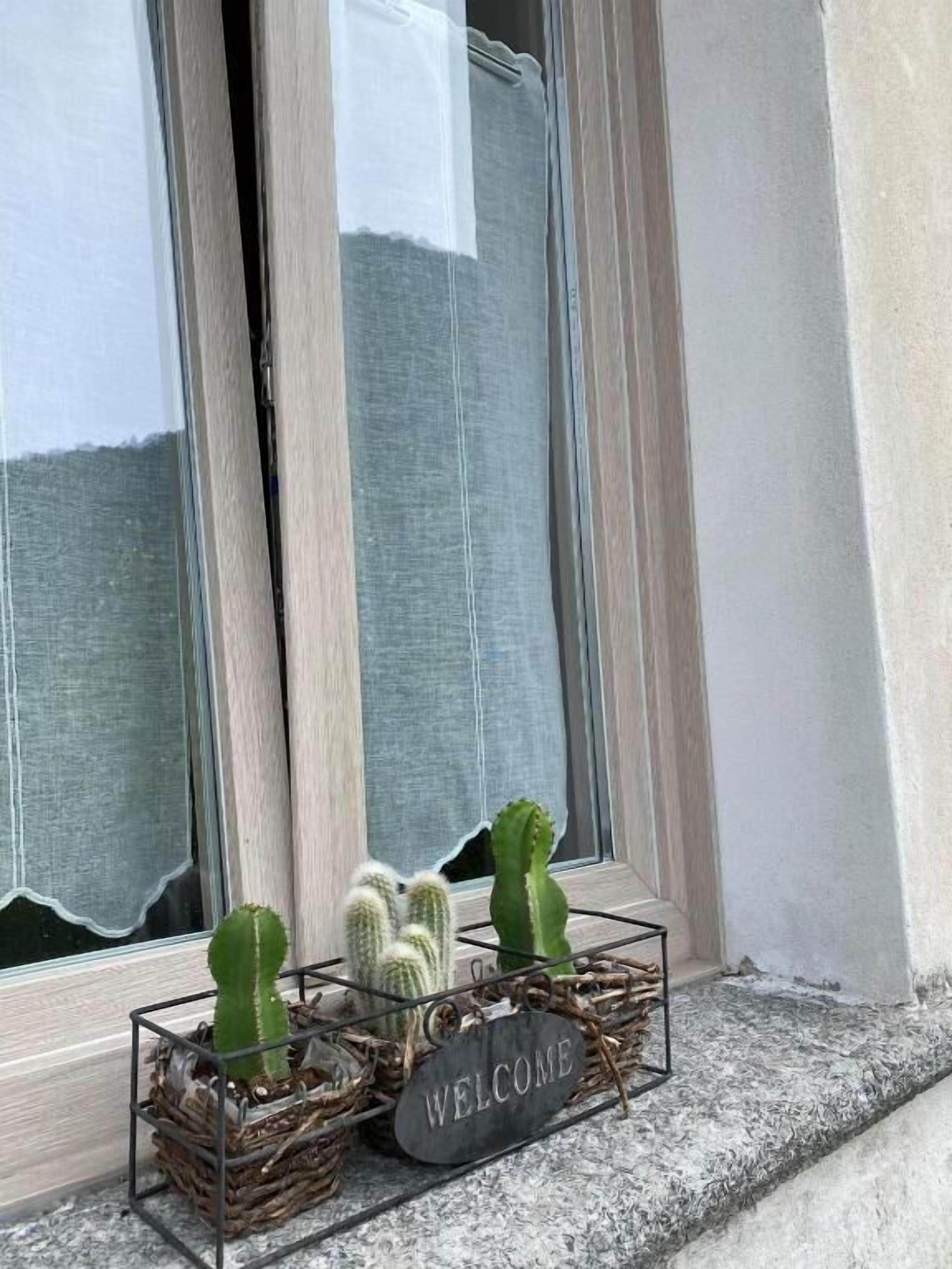 Un alféizar con un cartel de 'WELCOME' y dos cactus en una cesta de metal.