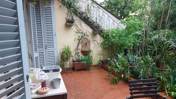 Terraza o patio