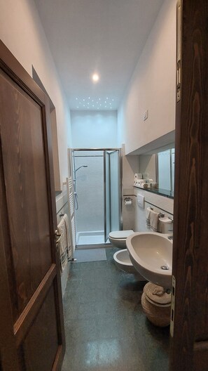 Shower, hair dryer, bidet, towels