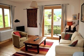 TV, fireplace, DVD player, books