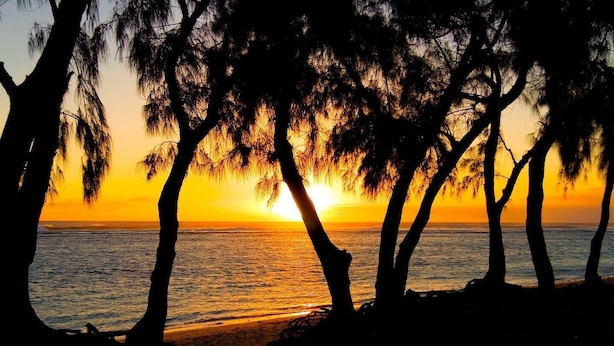 Une scène de plage avec des arbres se découpant en silhouette sur un coucher de soleil.
