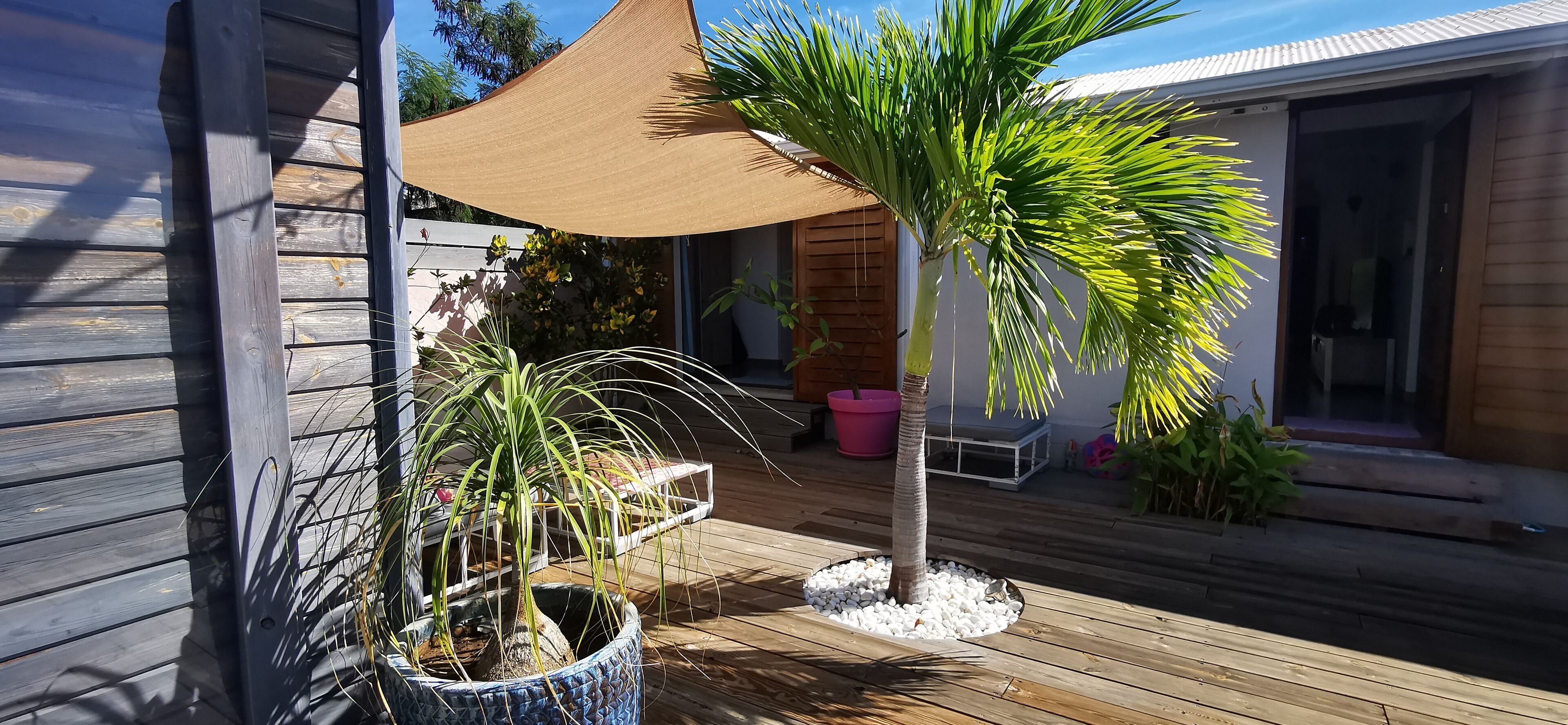 A wooden deck with potted plants, a small palm tree, and a tan shade sail.