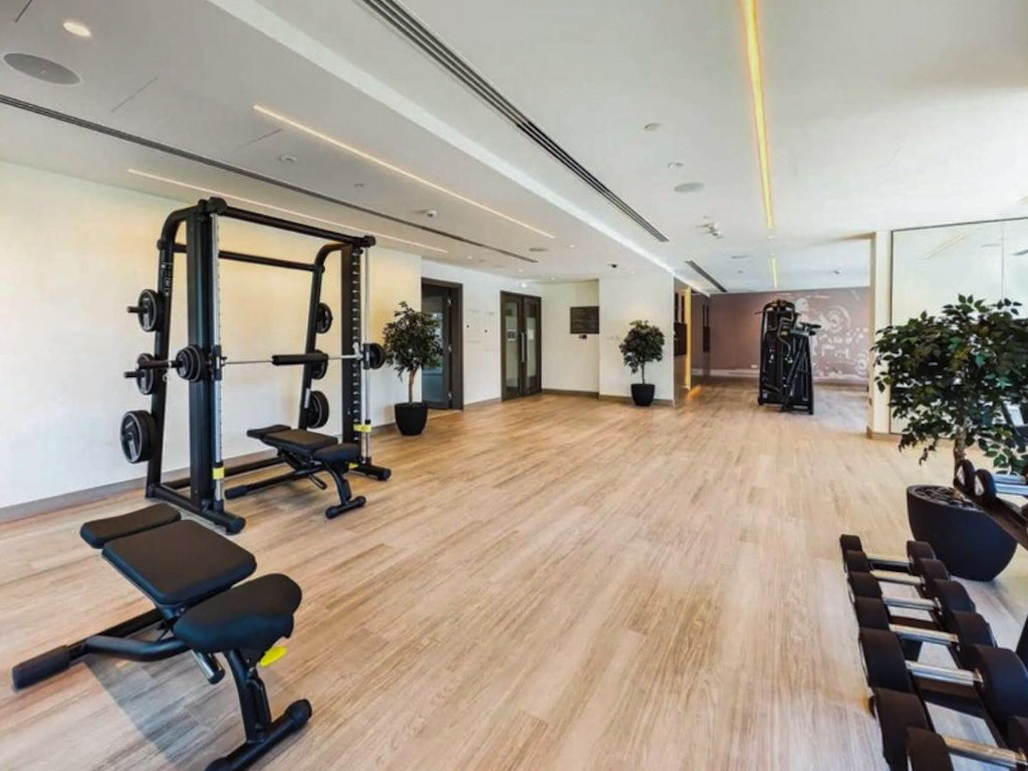 Un gimnasio con equipo de levantamiento de pesas, bancos y plantas en macetas.