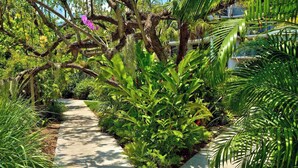 A pathway surrounded by lush tropical plants and a sign reading "Orchid Lane." - **SUITE SANCTUARY** Oceanfront Condo & Pool + Last Key White Glove Service... (Key West)
