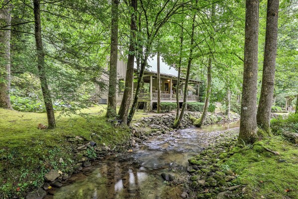 Property grounds - Creekside Fairytale on Barnes Creek - Magical, Romantic Cabin (Ellijay)