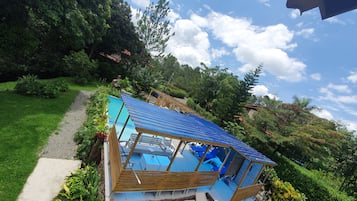 Outdoor pool, sun loungers