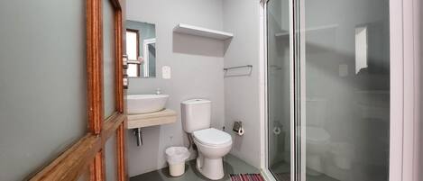 A modern bathroom with a glass shower enclosure, a white sink, and a toilet.