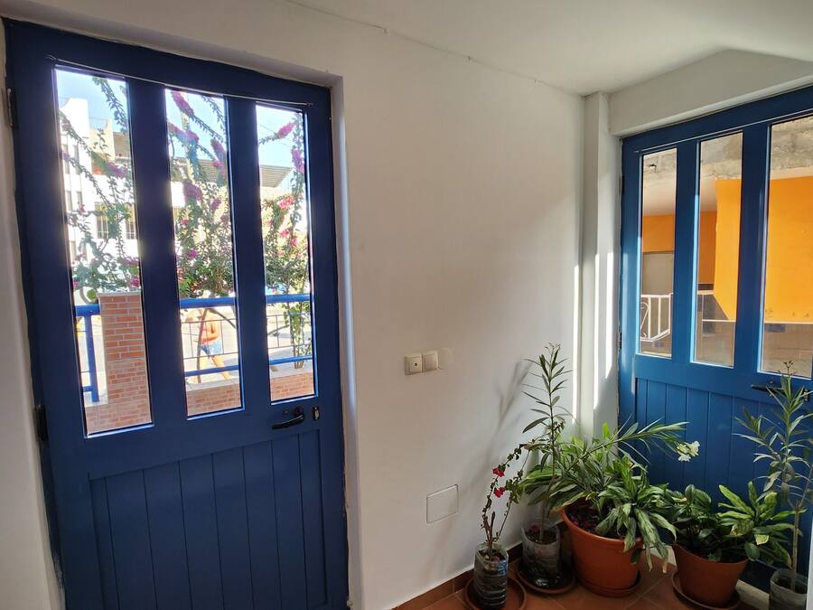 Una puerta azul con ventanal, suelo de baldosas y varias plantas en macetas.