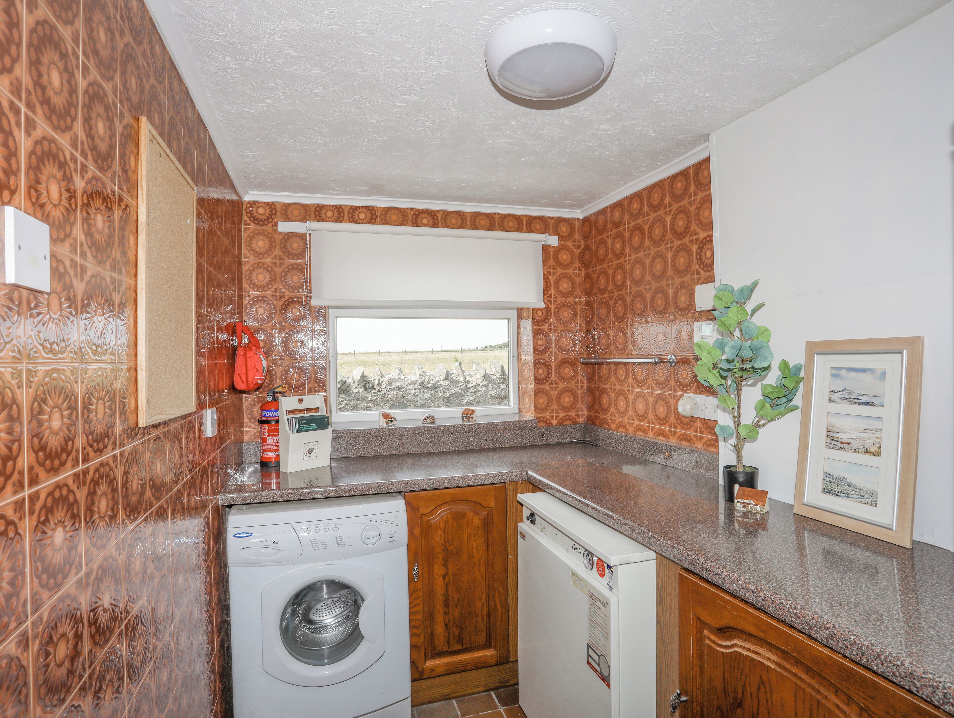 Cocina compacta con lavadora, una ventana pequeña con vistas y una planta en maceta.