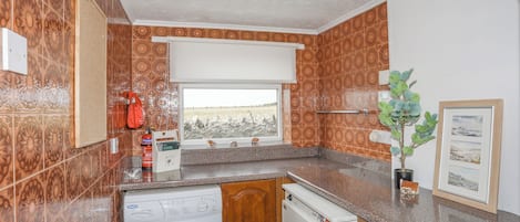 Cocina compacta con lavadora, una ventana pequeña con vistas y una planta en maceta.