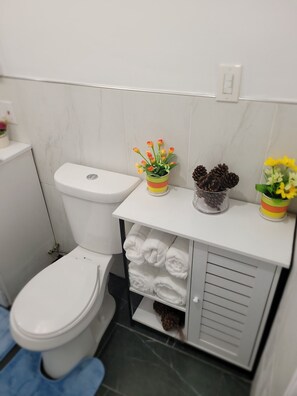 Hair dryer, towels, soap, toilet paper