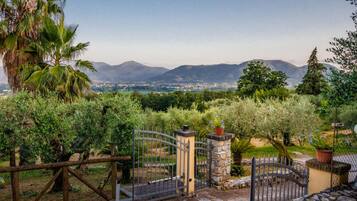 Biệt thự | 3 phòng ngủ