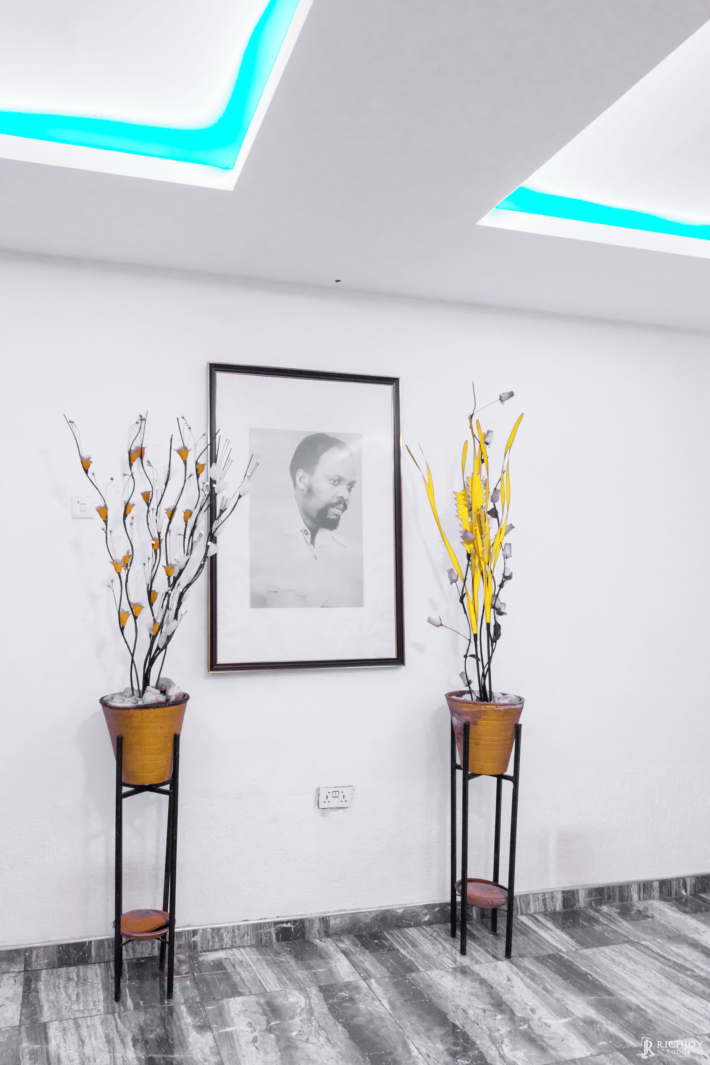 A hallway with two potted plants, a framed photograph on the wall, and a modern ceiling design.