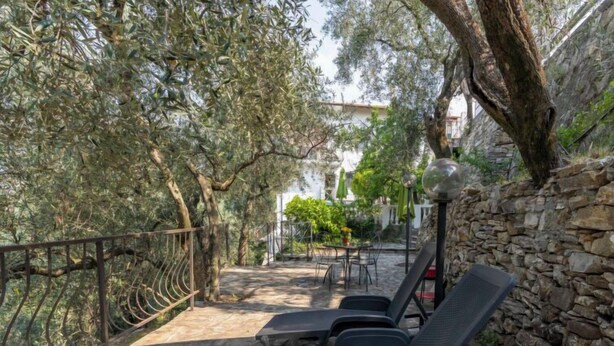 An outdoor seating area with metal chairs and a stone wall, surrounded by olive trees and a stone pathway. - Apartment Ulivo by Interhome (Chiusanico)