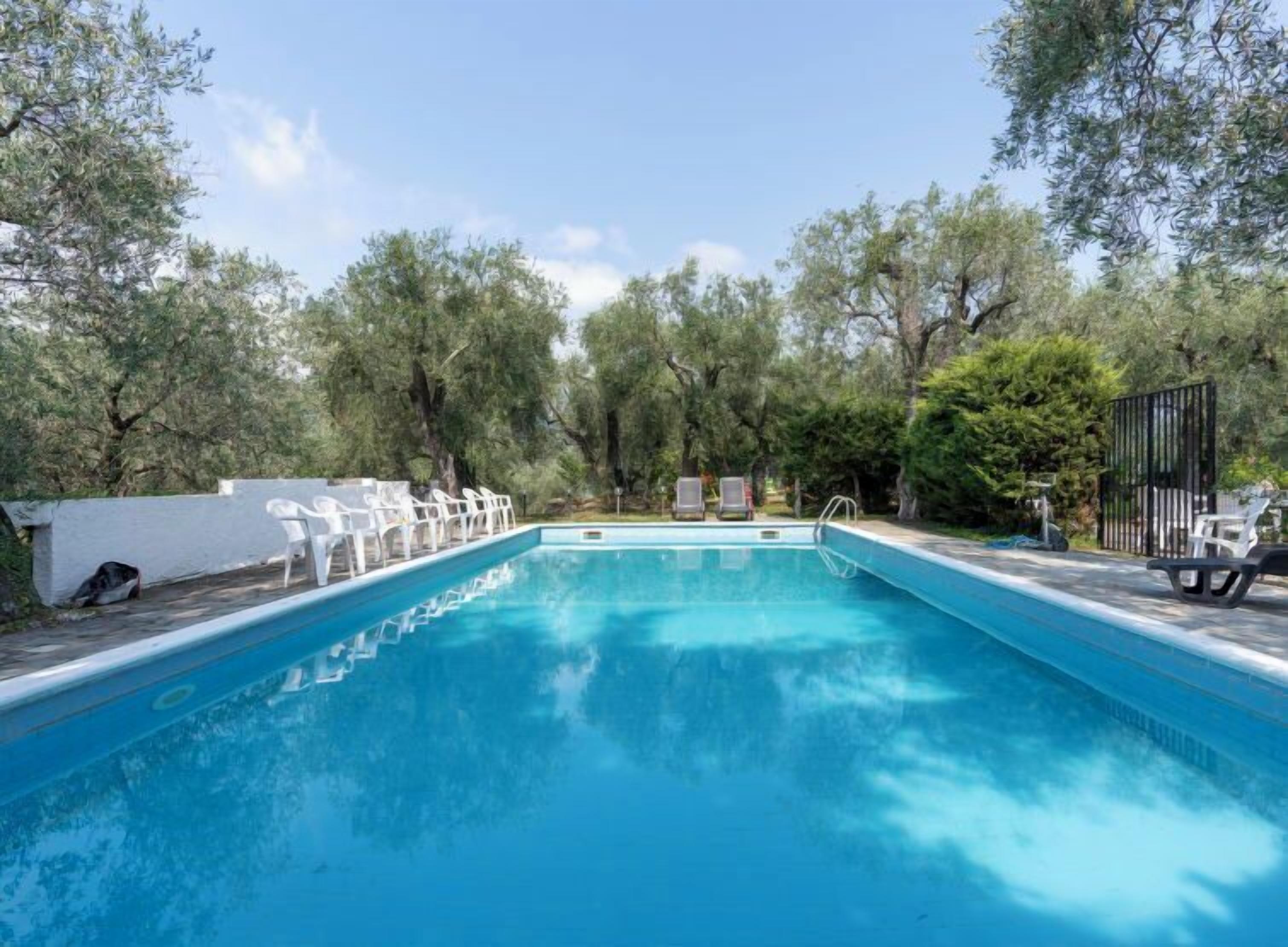 Ein rechteckiger Swimmingpool mit klarem, blauem Wasser, umgeben von Bäumen und weißen Liegestühlen.