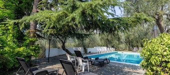 Apartment Mimosa by Interhome