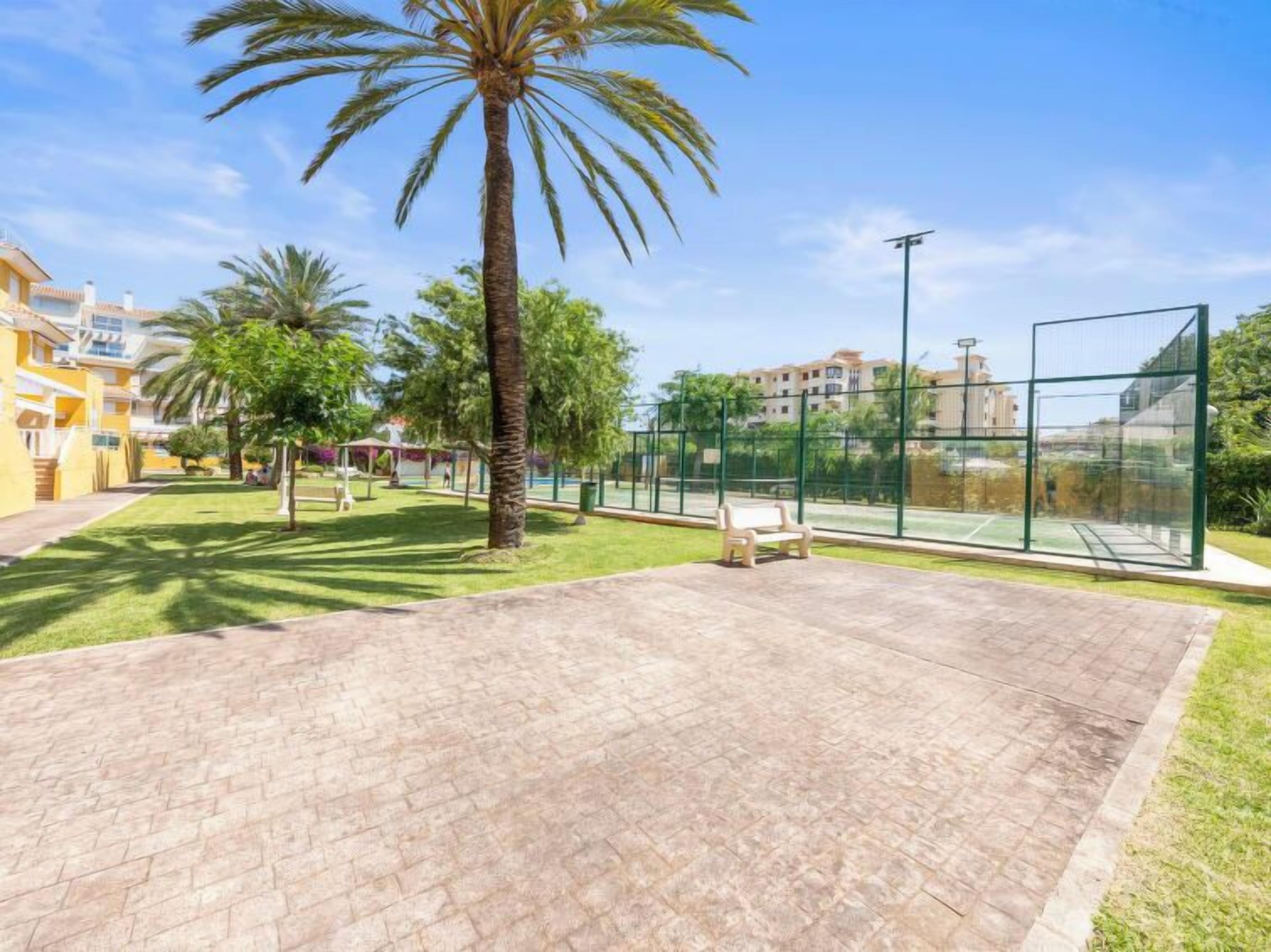 A courtyard with a palm tree, a tennis court, and a bench.