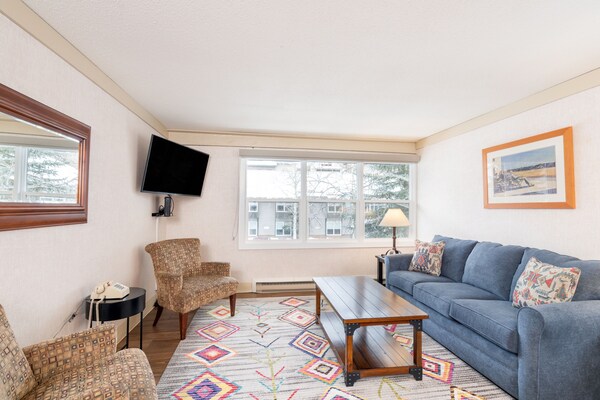 Mountainside Inn 122 1 Bedroom Condo By Alpine Lodging Telluride - Ouray, CO