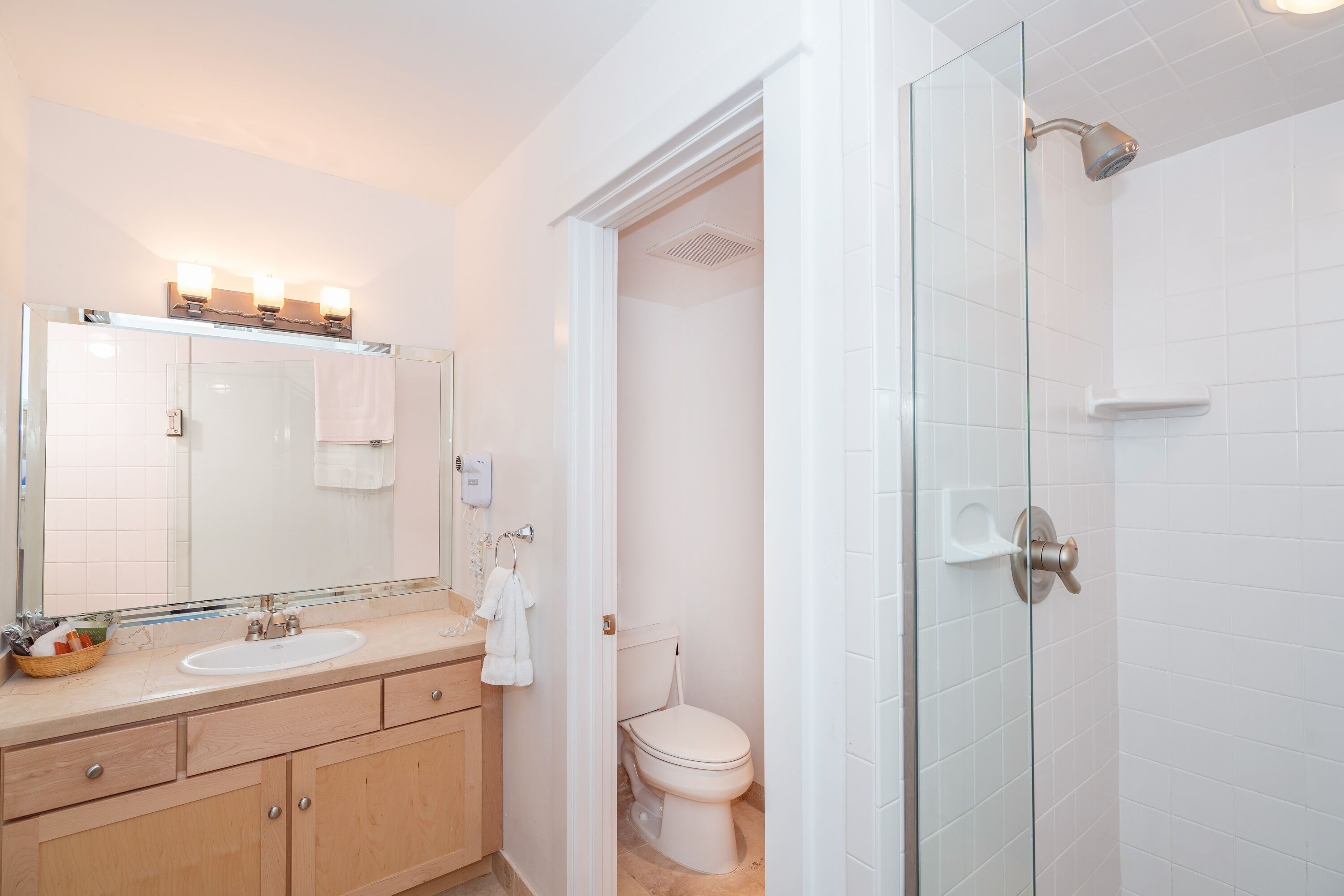 A bathroom with a glass shower enclosure, a sink with a mirror, and a toilet.