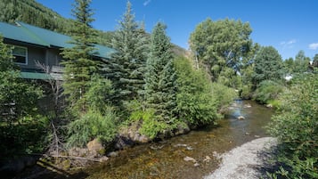 Room, 1 Bedroom | Miscellaneous