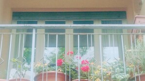 Un balcon avec des balustrades en métal, des plantes en pot et une fenêtre avec des volets.