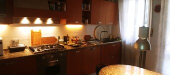 My true house