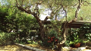 Unclassified image, 5 of 31, button - Apartments Pavo - 80 m From Beach (Postira)