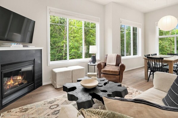 TV, fireplace, offices